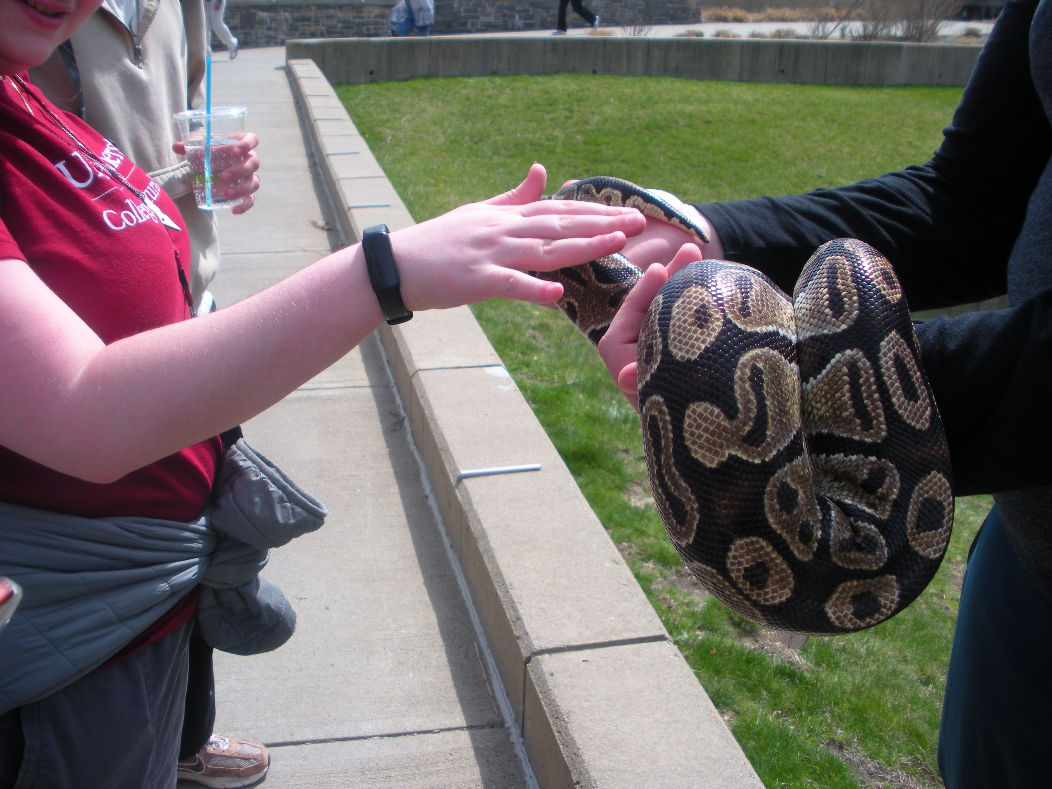 UMASS SPRING 25 photo